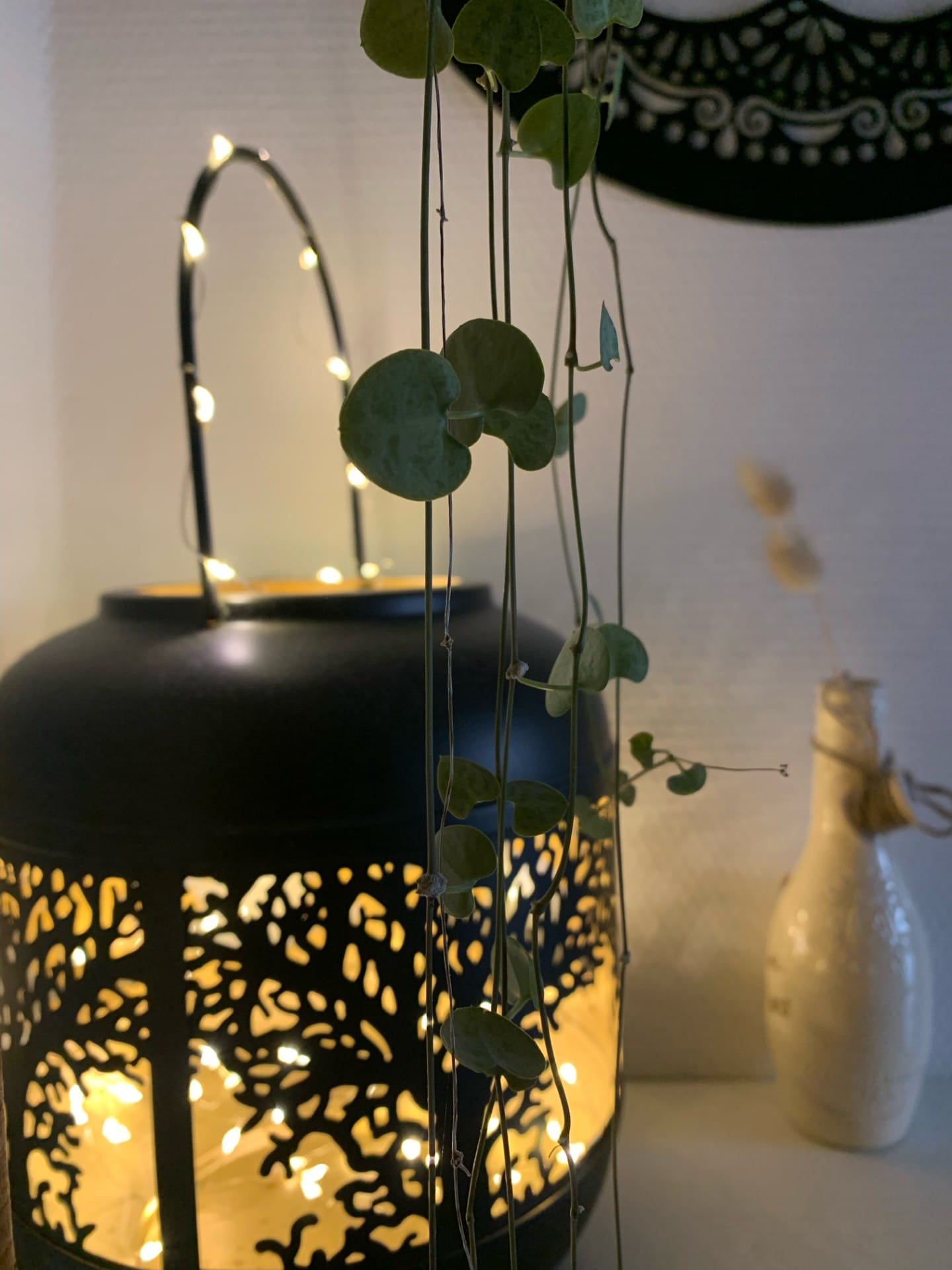 lampe beauté alréenne morbihan