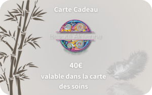 carte cadeau 40€ institut beauté auray